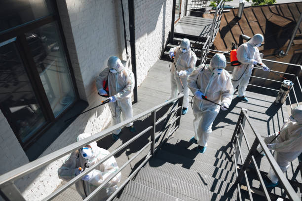 Best Residential Mold Inspection & Testing  in Westfield, IN