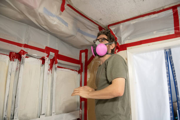 Best Post-Remediation Verification Testing  in Westfield, IN