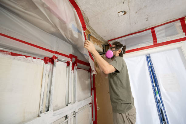 Best Asbestos and Lead Testing During Mold Inspection  in Westfield, IN