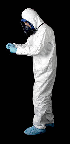 Best Emergency Mold Remediation  in Westfield, IN